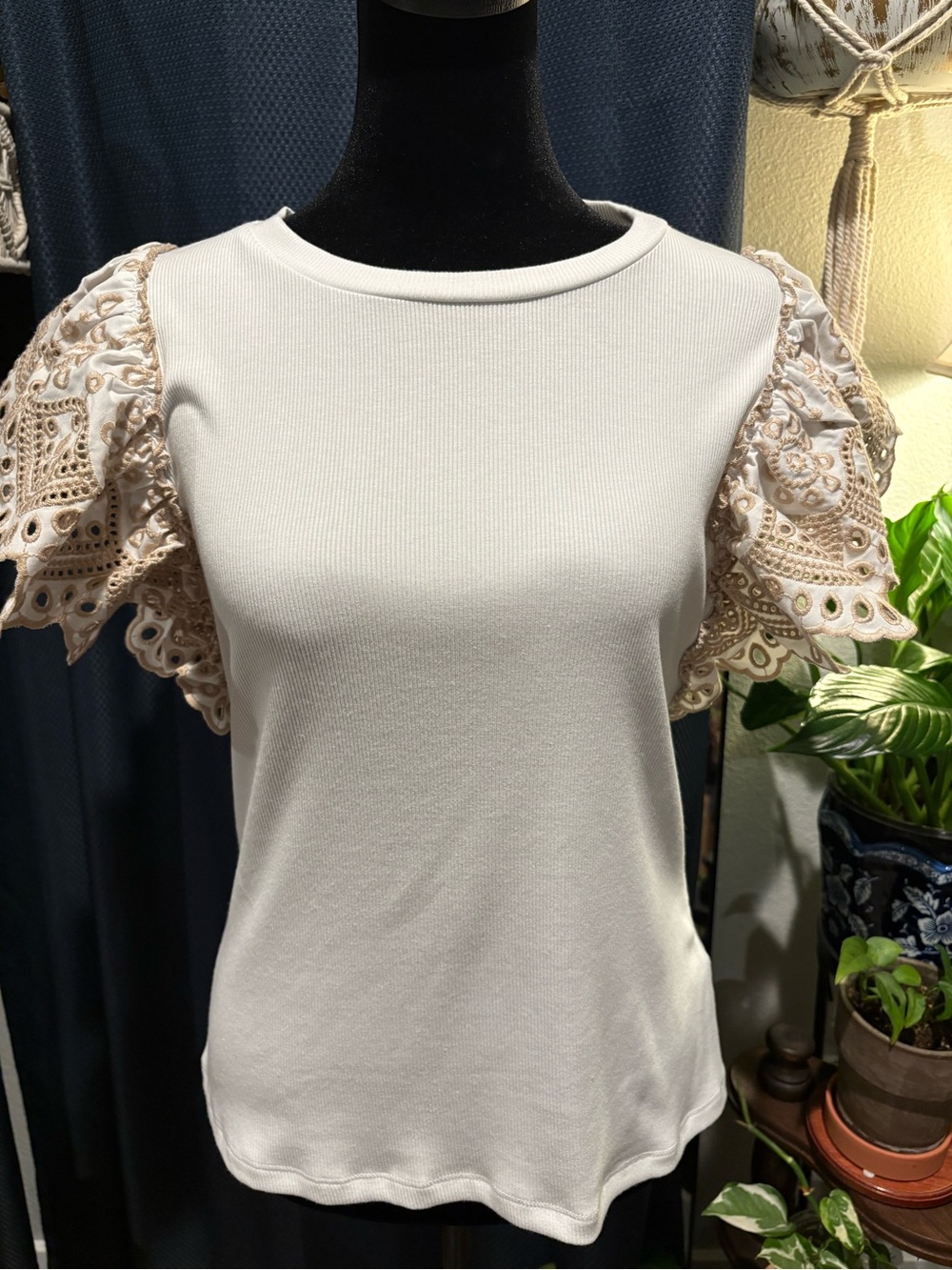 NEW Modal Versatile Cream Lace Puff Sleeve Crewneck by Industry Republic